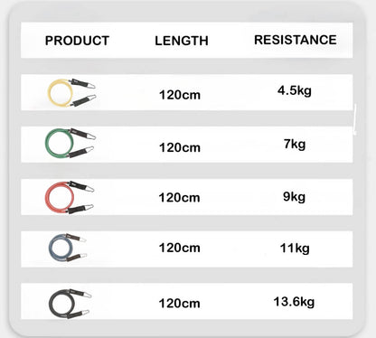 ResistanceIQ™️ Premium Exercise Bands